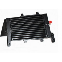 UBC100840 | Radiatore olio - Cambio automatico - 2.5 Diesel | RR P38 96-04